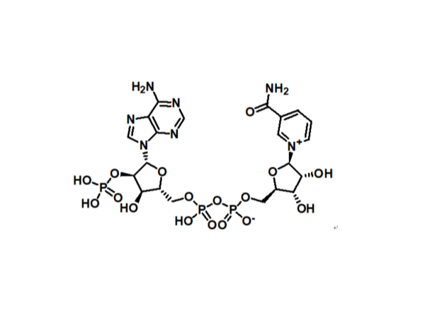 β-烟酰胺腺嘌呤双核苷酸磷酸